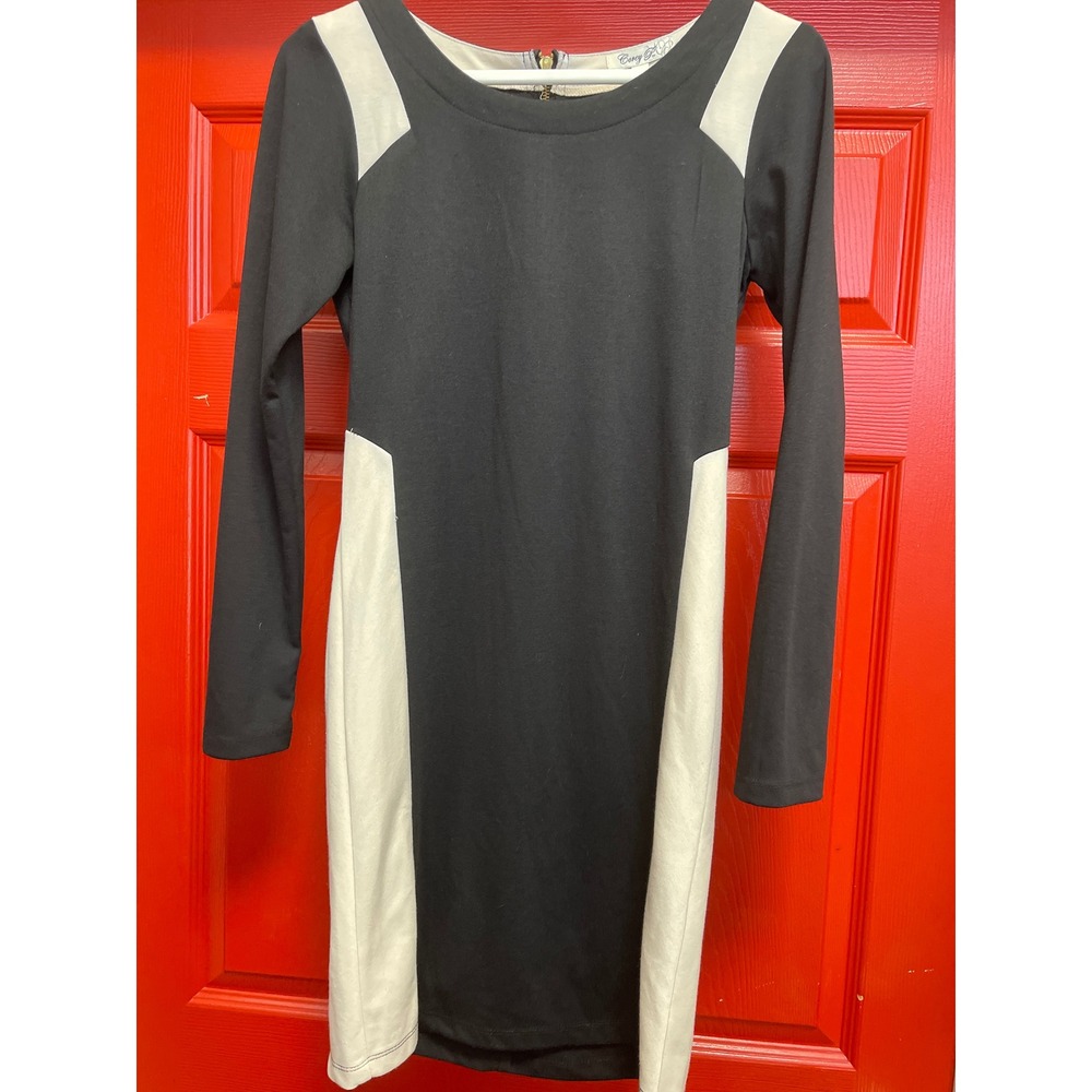 Corey P JCPenney Black White Colorblock Long Sleeve Sheath Dress Size 8 NWT